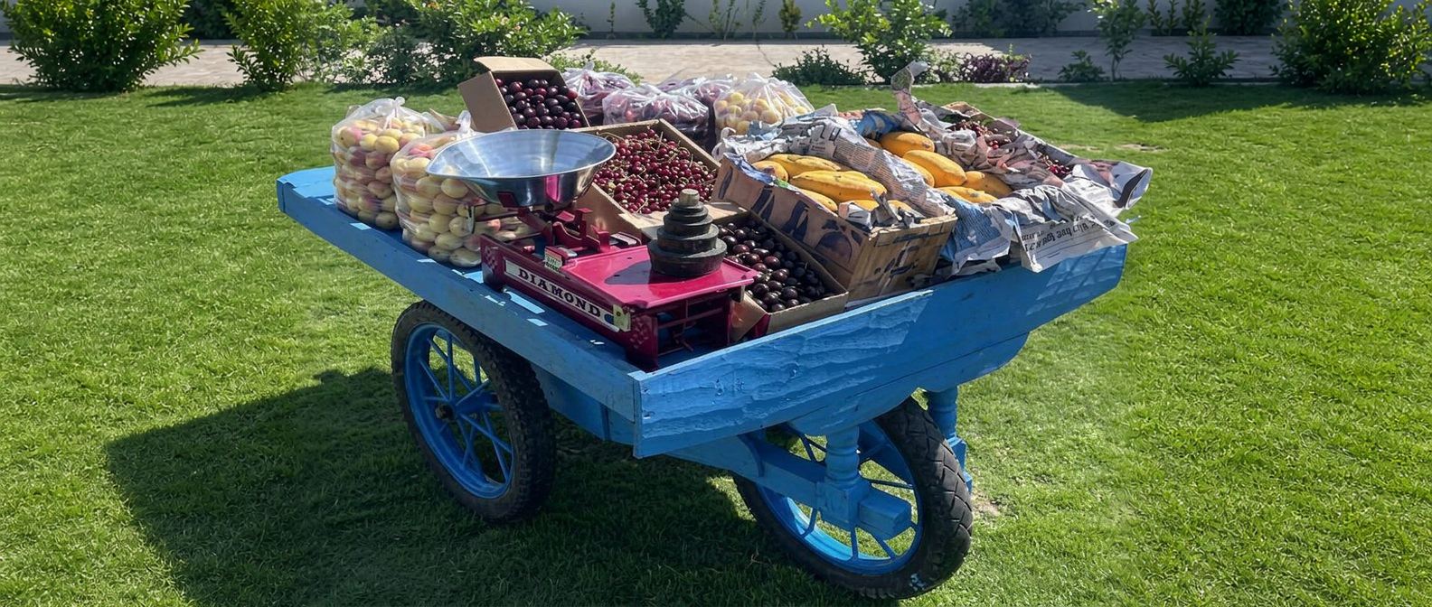 Vegetable cart projects for poor families