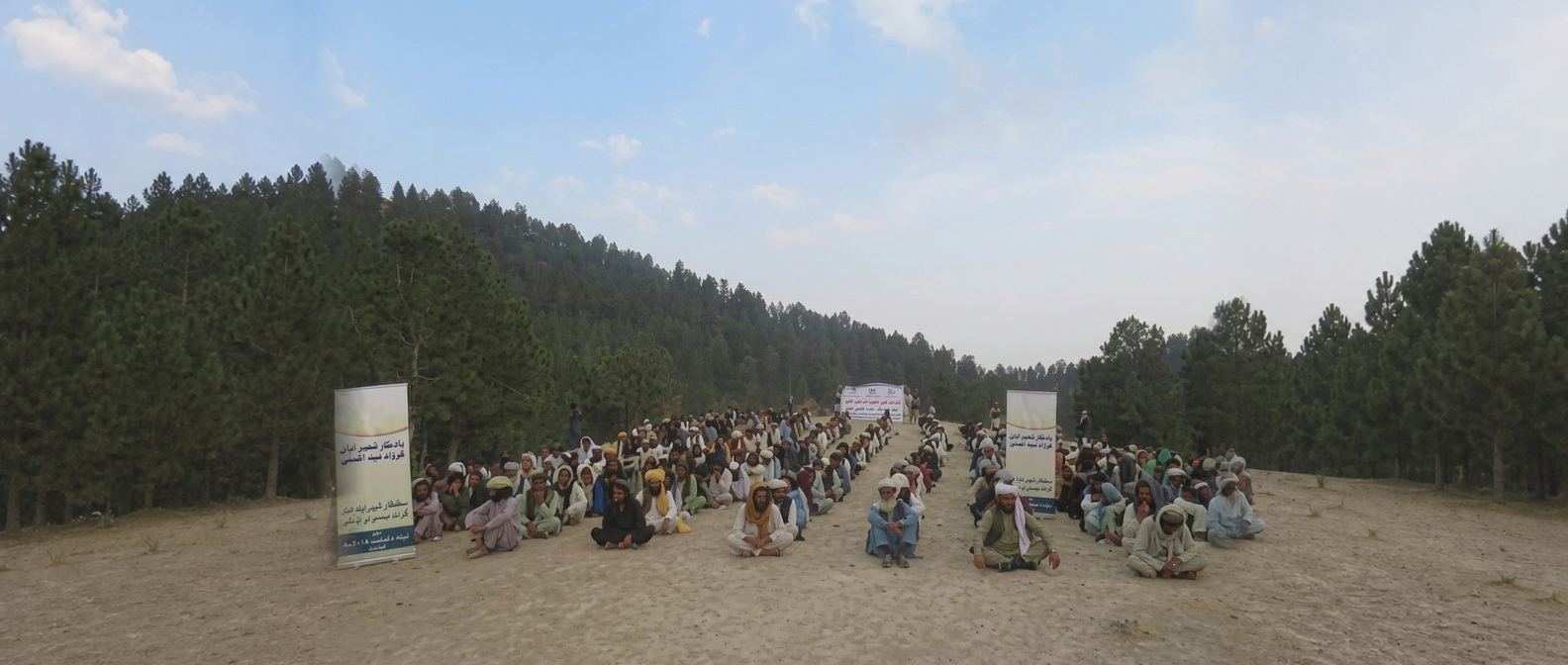 Relief campaign for earthquake victims in Khost Province