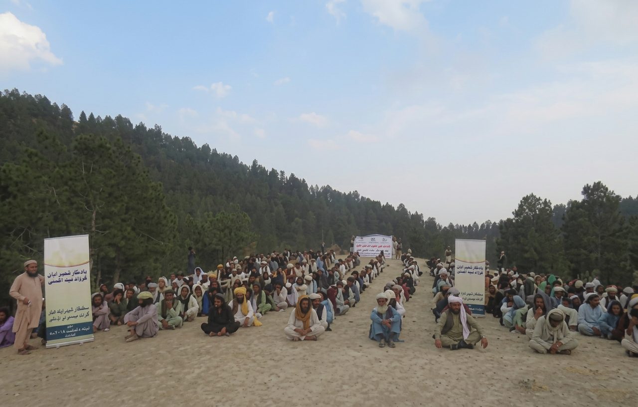 Relief campaign for earthquake victims in Khost Province