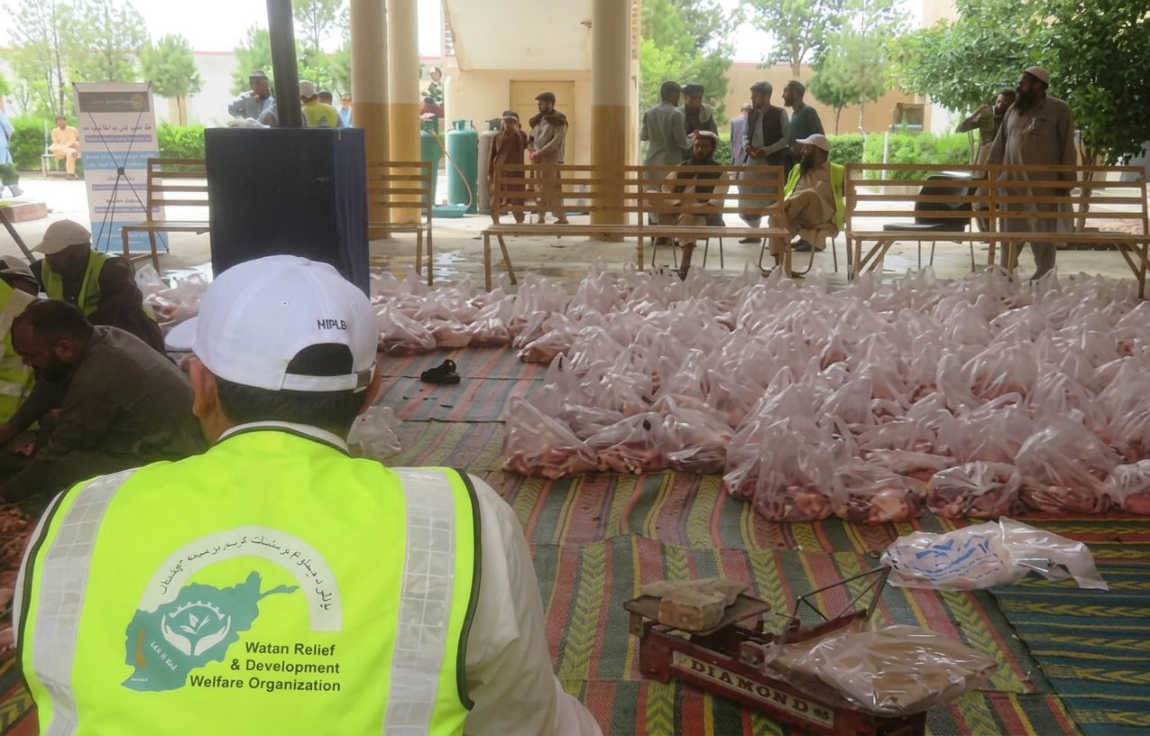 Qurbani projects